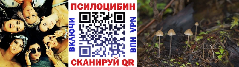 где купить наркоту  маркетплейс состав  кракен как зайти  Псилоцибиновые грибы ЛСД  Ликино-Дулёво 